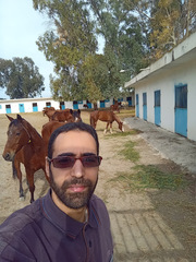 I am currently looking for a job as a horse groom / stable hand.